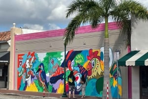 5 hours Complete Tour: Downtown Miami, Brickell, and Calle 8