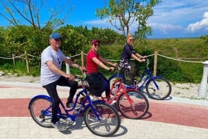 Art Deco, History and Crime Bike Tour with Design Enthusiast