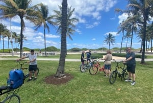 Art Deco, History and Crime Bike Tour with Design Enthusiast