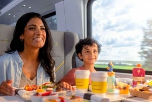 Aventura: Excursión de un día a Miami en tren con actividades opcionales