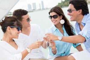 Miami - en naturskön kryssning Scenisk kryssning med bar ombord