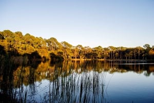 Exploration de Big Cypress : Conduisez et découvrez la faune et la flore