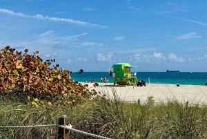 Paseo en bici por South Beach - en francés