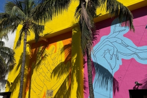 Paseo en bici por South Beach - en francés