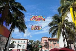 Paseo en bici por South Beach - en francés