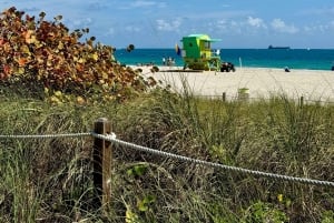 Paseo en bici por South Beach - en francés