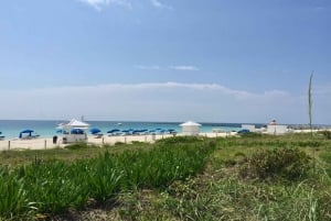 Paseo en bici por South Beach - en francés