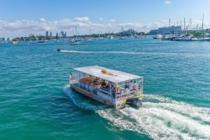 Tour en bateau dans la baie de Biscayne avec des arrêts à Miami Beach et Miami