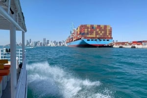 Tour en bateau dans la baie de Biscayne avec des arrêts à Miami Beach et Miami