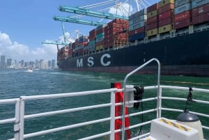 Passeio de barco pela Baía de Biscayne com paradas em Miami Beach e Miami