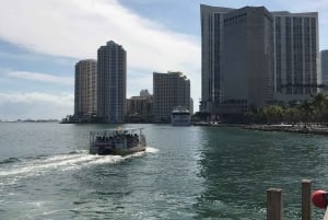 Biscayne Bay Boat ride with stops in Miami Beach and Miami