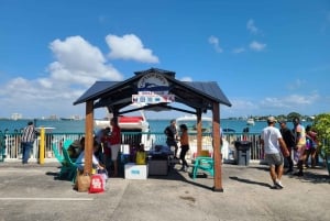 Alquiler de motos de agua en Biscayne Bay y paseo en lancha motora gratuito