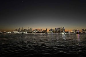 Biscayne Bay Nightclub Party Cruise mit offener Bar und DJ