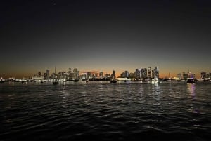 Biscayne Bay Nightclub Party Cruise mit offener Bar und DJ