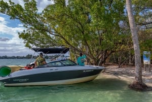 Boat Rental with Captain in Miami Beach - up to 6 people