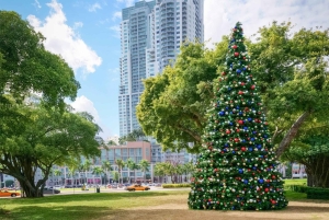 Tour a piedi alla scoperta del Natale a Miami