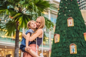 Passeio a pé pela descoberta do Natal em Miami