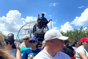 Miami: Halvdagstur til Everglades