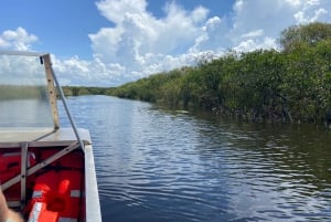 Miami: Half-Day Everglades Tour