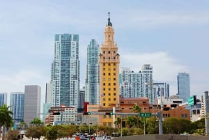 Descobre os locais emblemáticos de Miami neste passeio panorâmico de carro