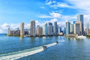 Descobre os locais emblemáticos de Miami neste passeio panorâmico de carro