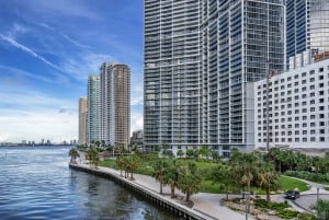 Descubre los lugares más emblemáticos de Miami en esta excursión panorámica en coche