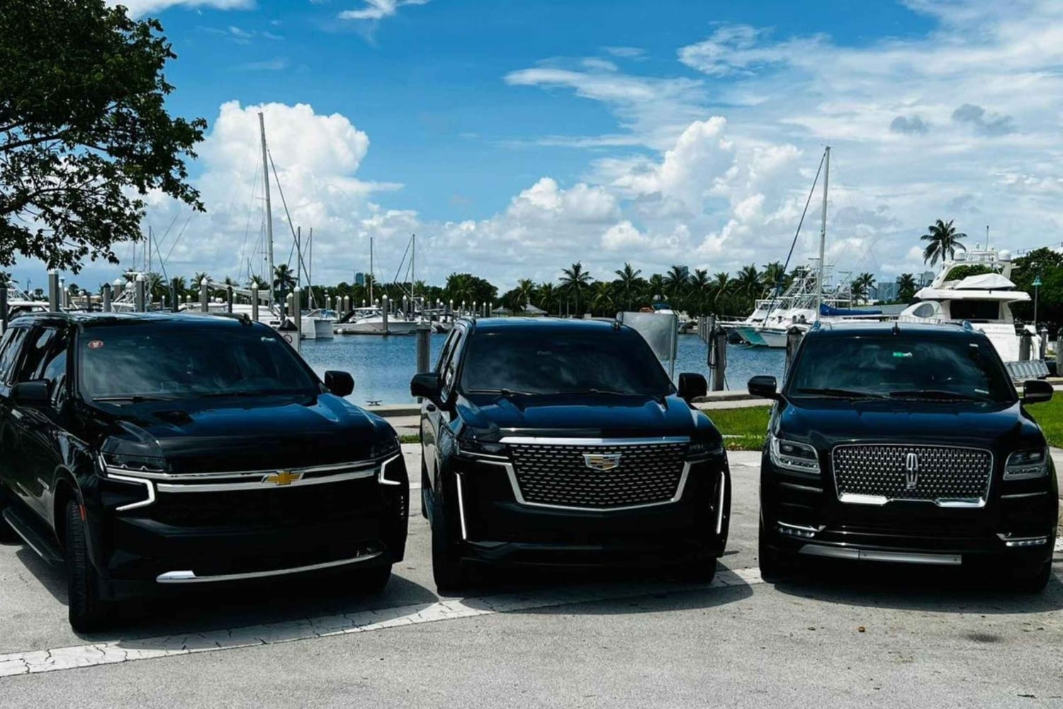 Entdecke das Beste von Tampa auf einer ganztägigen Reise ☀️