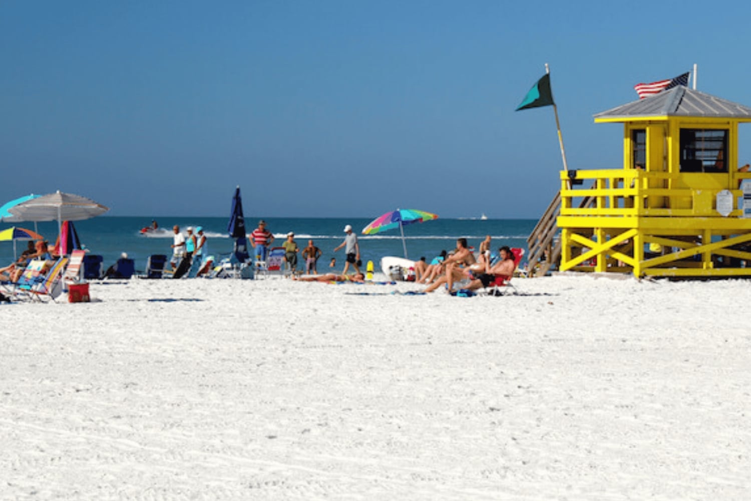 Entdecke das Beste von Tampa auf einer ganztägigen Reise ☀️