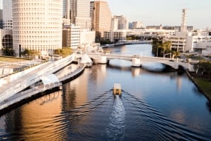 Entdecke das Beste von Tampa auf einer ganztägigen Reise ☀️