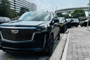 Entdecke das Beste von Tampa auf einer ganztägigen Reise ☀️