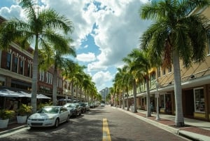 Entdecke das Beste von Tampa auf einer ganztägigen Reise ☀️