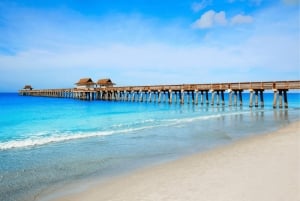 Entdecke das Beste von Tampa auf einer ganztägigen Reise ☀️