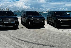 Entdecke das Beste von Tampa auf einer ganztägigen Reise ☀️