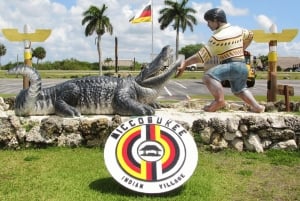 Entdecke das Beste von Tampa auf einer ganztägigen Reise ☀️