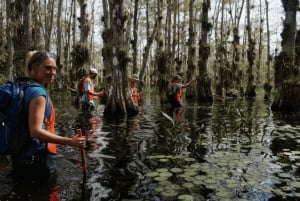 Entdecke das Beste von Tampa auf einer ganztägigen Reise ☀️