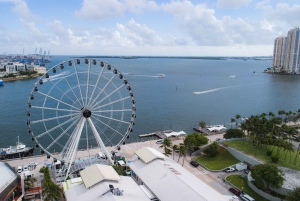 Miami: Skyviews Miami Observation Wheel Flexible Date Ticket
