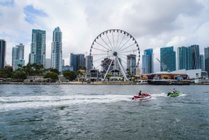 Miami: Skyviews Miami Observation Wheel Flexible Date Ticket