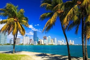 Tur i Miami sentrum med Millionaire's Row Cruise-billetter