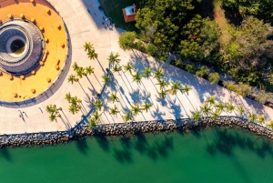 Tur i Miami sentrum med Millionaire's Row Cruise-billetter