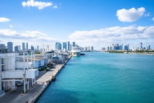 Tur i Miami sentrum med Millionaire's Row Cruise-billetter