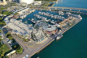 Tur i Miami sentrum med Millionaire's Row Cruise-billetter