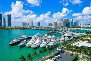 Tour por el centro de Miami con paseo en barco por Millionaire's Row y tickets de entrada
