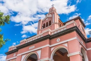 Tour por el centro de Miami con paseo en barco por Millionaire's Row y tickets de entrada