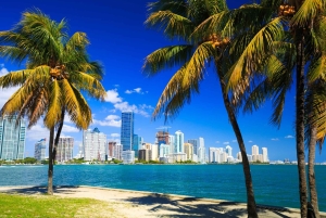 Tour por el centro de Miami con paseo en barco por Millionaire's Row y tickets de entrada