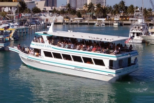 Tour por el centro de Miami con paseo en barco por Millionaire's Row y tickets de entrada