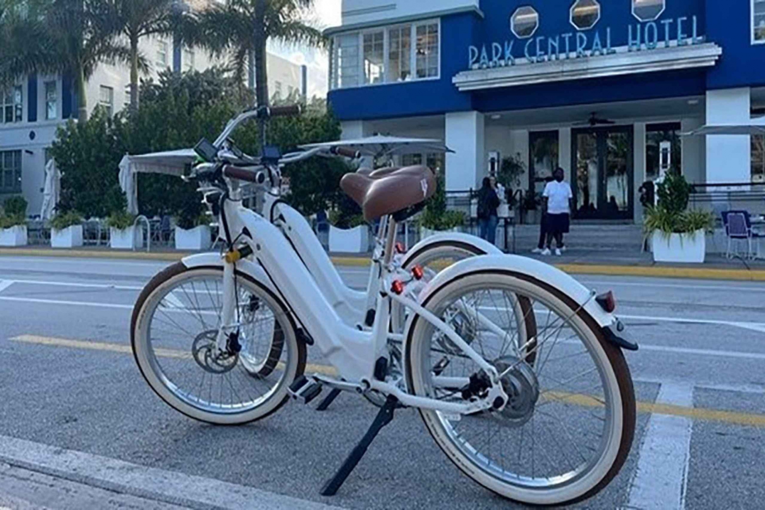 Miami: Electric Bike Rental