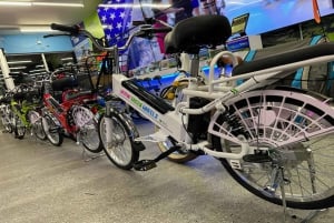 Electric Tandem Bike Rental in Miami Beach