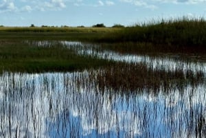 Excursão ecológica de aerobarco pelos Everglades em tour em pequenos grupos e transporte de primeira