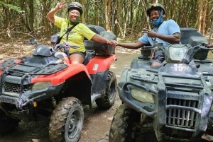 Everglades: Airboat + ATV Tour