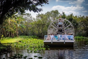 Everglades: Airboat + ATV Tour